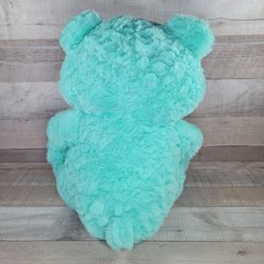 Mint Green Teddy Bear Plush Gold Heart Valentines Day Stuffed Animal Adventure