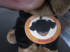 New! 2003 Golden Bear Co. MINI BREED PUPS ROTTWEILER PLUSH Stuffed animal dog