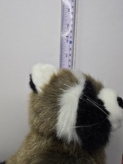 Vintage Raccoon Stuffed Animal Plush Toys Stuffie Sitting Ganz Standing begging