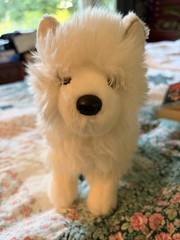Douglas Cuddle Toys Phoebe White Pomsky # 1704 Stuffed Animal Toy