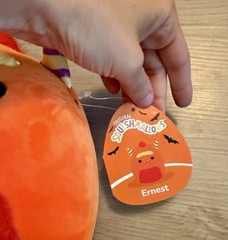 NWT Squishmallows Ernest The Orange Monster – 8” Halloween Plush
