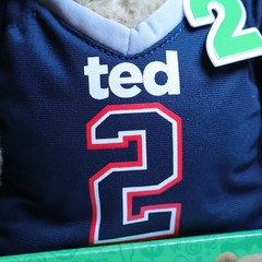 NEW TED 2 Movie Patriots Brady Jersey Talks Plush | 11″ Tall 2015 CWT Collection