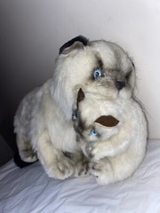 AVANTI 1983 VINTAGE 24″ HIMALAYAN MOTHER CAT CARRYING KITTEN