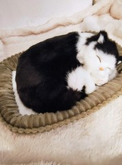 Perfect Petzzz Black & White Sleeping Cat Plush Stuffed Animal w/ Bed Battery