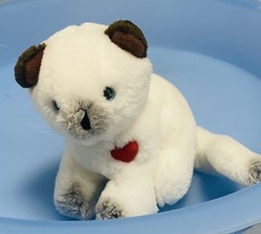 Dakin Cat Plush White Valentine Red Heart Brown Ears Blue Eyes 5” VTG