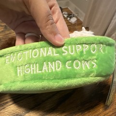 Relatable Emotional Support Pals Highland Cow Plush Set Green Bed 2025 Small