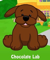 Webkinz Classic Chocolate Lab – hm138 – Retired! – Virtual Adoption Code Only