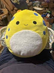 Squishmallows Ripply the Sea Slug 14″ Special Edition Yellow Spotted Squishy NWT