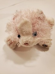Ganz Webkinz Pink White Cat Plush Stuffed Animal No Code HM189 Fuzzy 8 Inch