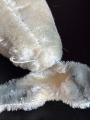 Steiff Walrus And Seal, No ID, Mohair, About 5“, TLC