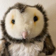 Fiesta Barn Owl Plush Stuffed Animal Realistic Wildlife Bird Toy