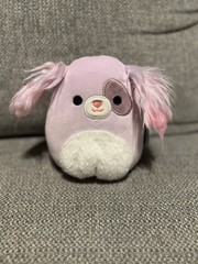 NWT Squishmallow Barb The Dog 5″ Purple Rainbow Fluffy Ears – See Description
