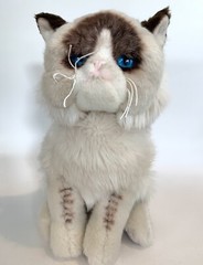 Gund Grumpy Cat Kitty Plush 10” Stuffed Animal Siamese Himalayan Blue Eyes *EC