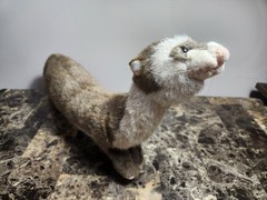 Vintage HANSA Ferret Realistic Standing Plush 21″