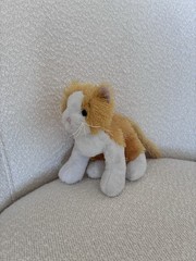 Webkinz Cat Plush Stuffed Animal Orange White Small 6-14 in Ages 3-7 Years