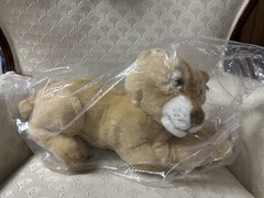 Steiff Plush Barry Lowin Lioness Large New In Bag Tags 103032 Lion