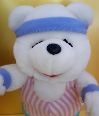 Aerobics 80’s Teddy Bear Plush Stuffed Soft Toy 12″ ACMI Jazzercise Head Band
