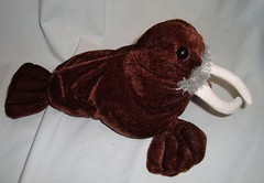 Kellytoy Walrus Plush Brown Long Tusks 10″ Small Seal Soft Toy Stuffed Animal
