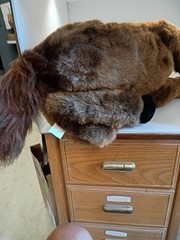 Laying Horse Plush Stuff Animal 11 In Tall By 24 In Long
