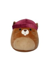 Squishmallows 8 Inch Chip Plush Ultrasoft KellyToy Plush NEW