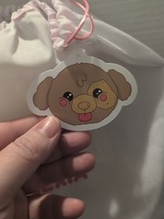 Anything Alexia Puppy Nuggy Plush With Dust Cover Brand New With Tags.