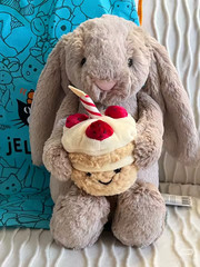 Jellycat Bunny Plush Birthday Cake Rabbit Soft Toy Stuffed Animal Gift