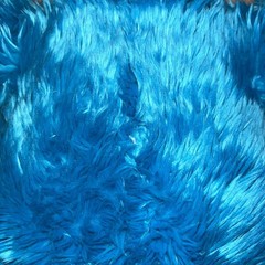 Vintage Build-A-Bear Workshop Cookie Monster Sesame Street Plush Medium Blue Toy
