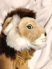 2021 National Geographic Venturelli Angelo Lelly Lion Wild Cat 10″ Plush