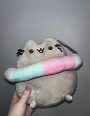 13 in Pusheen with Floatie Plush NEW WITH TAGS Summer exclusive