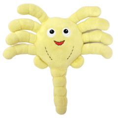 Kidrobot Face Hugger Phunny Alien Plush Xenomorph Sci-Fi Horror Toy 8″ LootCrate