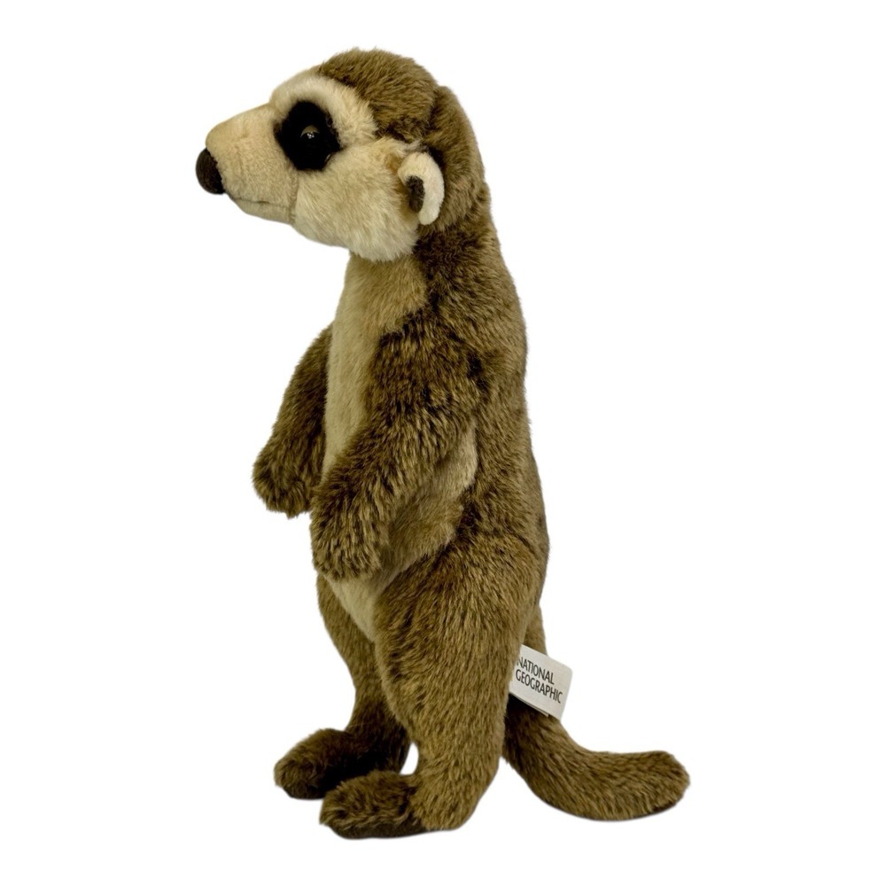 Lelly Venturelli National Geographic Meerkat Plush Realistic Zoo Stuffed Animal