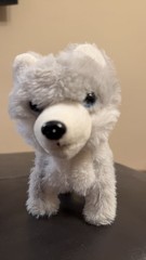 Kid Connection Plush Husky Dog Toy