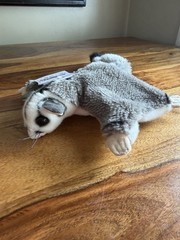 Sugar Glider Brocchetta Plush Realistic NWT