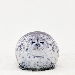Cute Chubby Seal Plush Pillow 3D Stuffed Sea Lion Doll Sleeping Cushion Toy Gift
