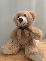 Brown Teddy Bear Plush – 12 Inches Seated Position