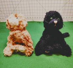 Ganz Webkinz Black Cat & Webkinz Ginger Cat 8” Plush No Codes