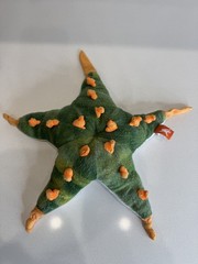 Sea Star Stuffed Toy Gift For Kids Soft Sea Star Toy Holiday Gift For Kids Toys