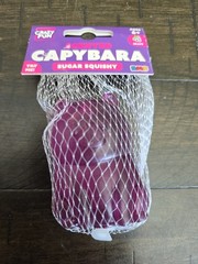 Crazy Fun RMS Grape Scented Purple Capybara Squishy