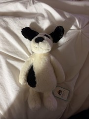 Jellycat Bashful Puppy Black And Cream White Small Little 8”- 9” NWT AUTHENTIC