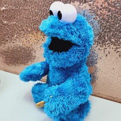 Sesame Street Feed Me Cookie Monster Blue Plush 14″ Talking Stuffed Animal Toy