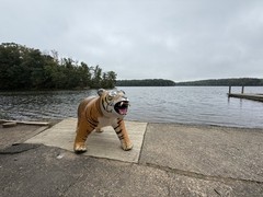 Jet Creations 96″ Long Lifelike Tiger *2024 Edition*