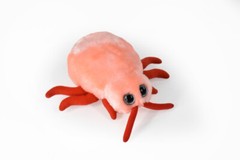 Stuffed Bed Bug Toy, Red, Plushy, Plush, Educational, Gag Gift, 7″ F1559 B137