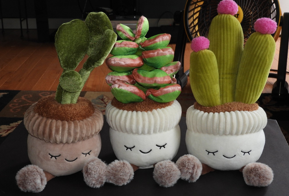 3 Greenhouse Russ Plants Jazwares Succulents & Cactus Sitting Stuffed Plush 12″