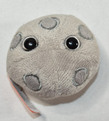 Giant Microbes HPV Virus Human Papillomavirus Gray Stuffed Plush Mini 2.5″ VGUC