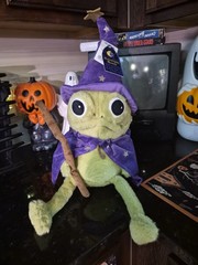 NWT Moonlight Manor Wizard Frog Shelf Sitter