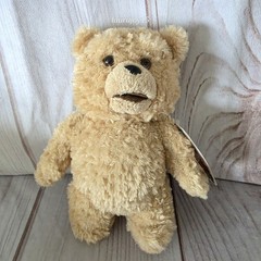 Talking Ted Teddy Bear Plush Stuffed Toy PG Version Tags Attached 8 Inch 2012