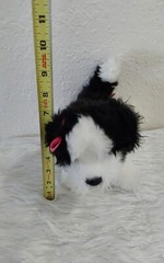Douglas Cuddle Shih-tzu Dog Stuffed Animal Black White Plush 2021 Toy # 1716