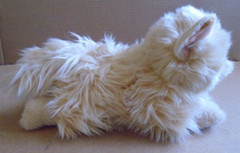 Toy Plush Aurora Miyoni Himalayan Kitty Cat 11 in. Length