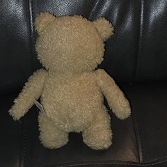 Ted 2 Movie 2014 Talking Plush Teddy Bear 9″ Inches Stuffed Animal Works