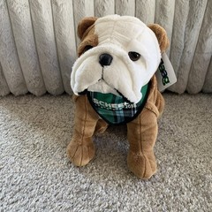 Scheels Jaag Bulldog Plush 10 inches 2018 Scarf Stuffed Animal Retired Dog